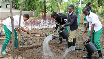 Shamba Darasa: Cultivating sustainability and community at AKES, Tanzania 