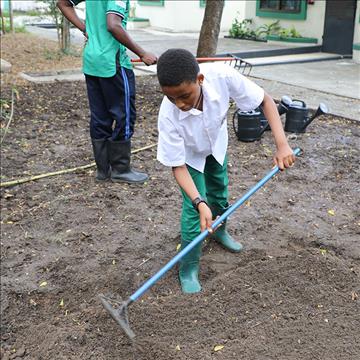 Shamba Darasa: Cultivating sustainability and community at AKES, Tanzania 