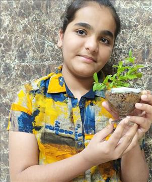 Go Green, Grow Green: Students and staff embrace eco-friendly approaches to reduce their carbon footprint 