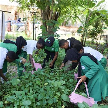 Shamba Darasa: Cultivating sustainability and community at AKES, Tanzania 